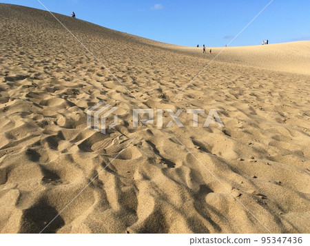 Tottori sand dunes Tottori sand dunes 95347436