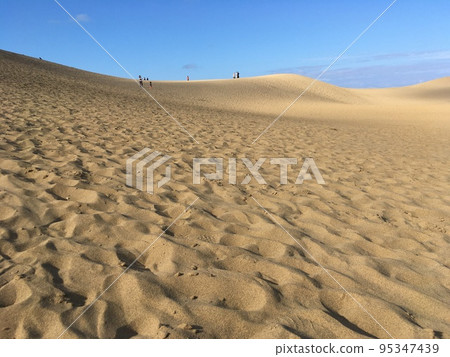 Tottori sand dunes Tottori sand dunes 95347439