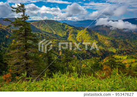 志賀高原 橫手山 紅葉 志賀高原 橫手山 紅葉 95347627