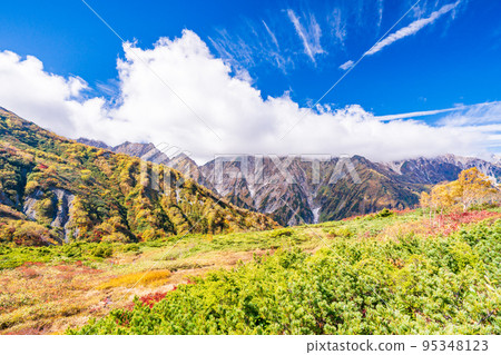 (長野縣)白馬八方之一的紅葉,八方池附近的風景 (長野縣)白馬八方之一的紅葉,八方池附近的風景 95348123