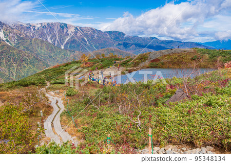 (Nagano Prefecture) Hakuba Happo-one with its beautiful autumn foliage, scenery near Happo-ike Pond 95348134