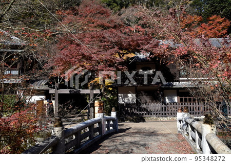 Minoh Park Autumn leaves Minoh Park Autumn leaves 95348272