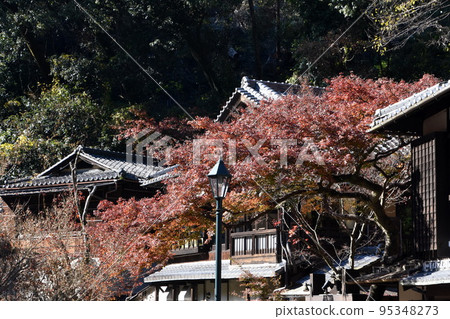 Minoh Park Autumn leaves Minoh Park Autumn leaves 95348273