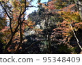 Minoh Park Autumn leaves 95348409