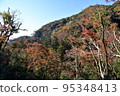 Minoh Park Autumn leaves 95348413