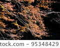 Minoh Park Autumn leaves 95348429