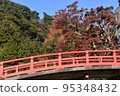 Minoh Park Autumn leaves 95348432