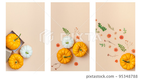 Fall pumpkin thanksgiving stories template Fall pumpkin thanksgiving stories template 95348788