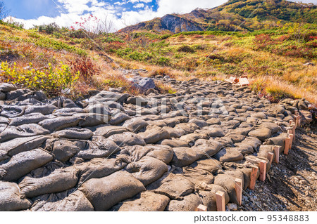 (Nagano Prefecture) Sandbags piled up on the slope after dredging the bottom of Happo Pond to restore vegetation 95348883