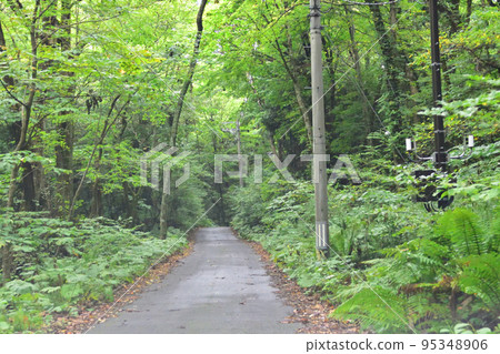 多雲下青森縣津輕國定公園景觀 多雲下青森縣津輕國定公園景觀 95348906