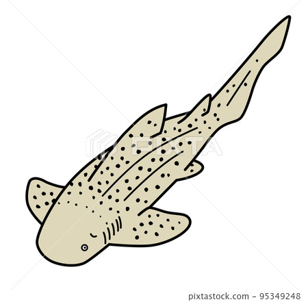 虎鯊的插圖 95349248