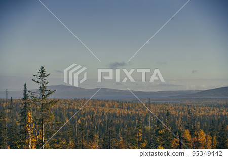 Bright autumn forest landscape in the evening. 95349442