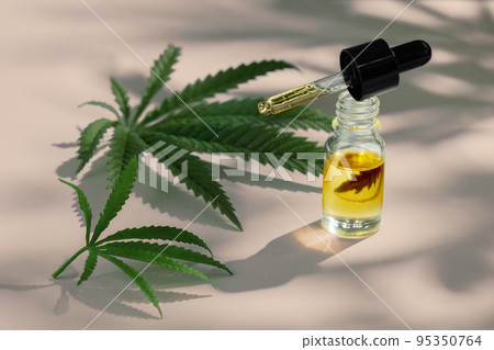 Set of legalized marijuana features with CBD oil product, hemp leaf and bud. Set of legalized marijuana features with CBD oil product, hemp leaf and bud. 95350764
