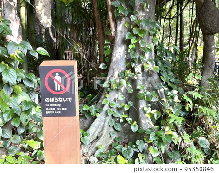 Climbing prohibited area 95350846