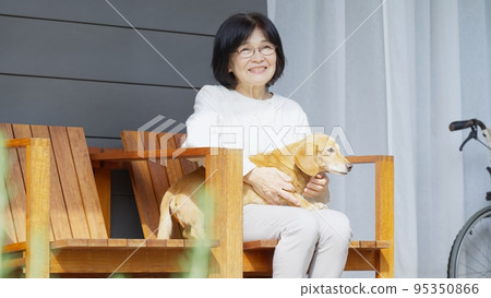 Animal therapy image Animal therapy image 95350866