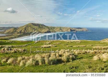 Green landscape in New Zealand 95350880