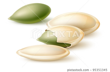 Realistic nuts. 3D natural products. Dry vegetables tasty healthy snacks. Squash harvest green beans. Isolated gourd grains heap. Vegan diet nutrition. Vector cooking plant ingredient 95351345