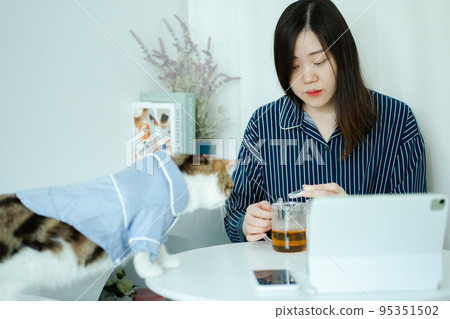 woman in pajamas cloth drink tea and play with her cat 95351502
