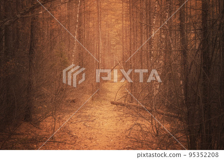 atmospheric autumn scary forest path. creepy but inviting. 95352208