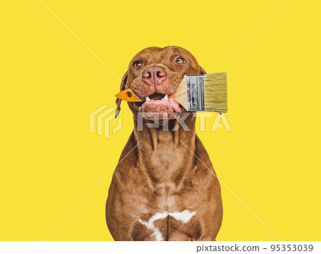 Lovable, pretty puppy and painting tools. Close-up 95353039