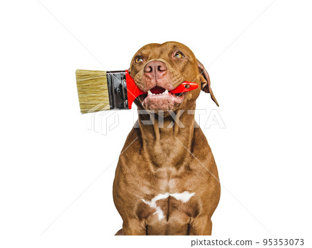 Lovable, pretty puppy and painting tools. Close-up Lovable, pretty puppy and painting tools. Close-up 95353073