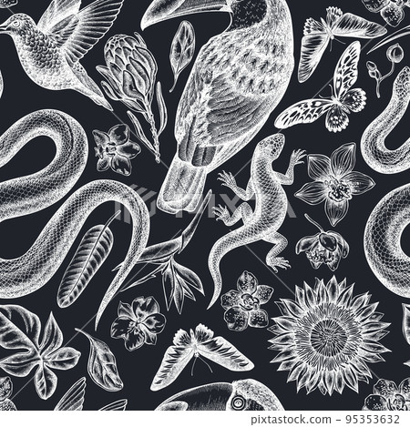 Tropical animals seamless pattern background design. Engraved style. Hand drawn snake, lizard, hummingbird, toucan, rajah brooke's birdwing, african giant swallowtail, monstera, strelitzia, protea Tropical animals seamless pattern background design. Engraved style. Hand drawn snake, lizard, hummingbird, toucan, rajah brooke's birdwing, african giant swallowtail, monstera, strelitzia, protea 95353632
