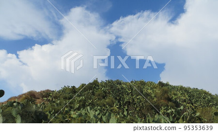 Two white clouds kissing on a background of blue sky above a field of green cacti, Givat Napoleon in Ramat Gan Two white clouds kissing on a background of blue sky above a field of green cacti, Givat Napoleon in Ramat Gan 95353639