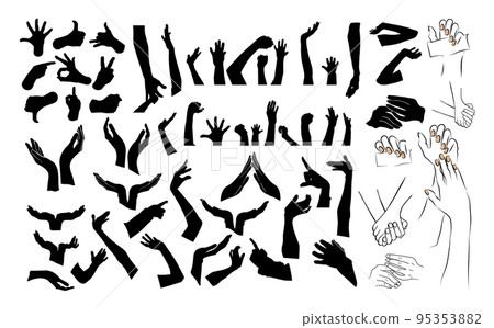 Set of various black silhouette woman hands. Vector collection of female hands of different gestures. Trendy minimal style for logos, prints, designs, illustrations. Set of various black silhouette woman hands. Vector collection of female hands of different gestures. Trendy minimal style for logos, prints, designs, illustrations. 95353882