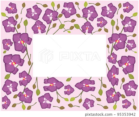 Frame of Purple Doritaenopsis Orchid Flowers or Phalaenopsis Frame of Purple Doritaenopsis Orchid Flowers or Phalaenopsis 95353942