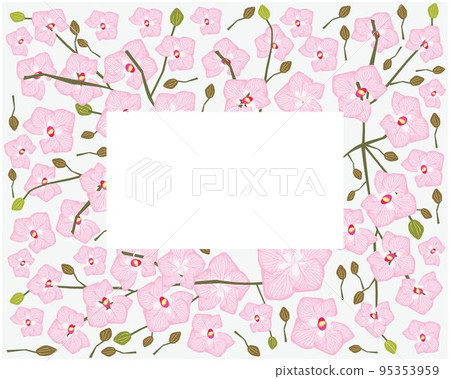 Frame of Pink Doritaenopsis Orchid Flowers or Phalaenopsis Frame of Pink Doritaenopsis Orchid Flowers or Phalaenopsis 95353959