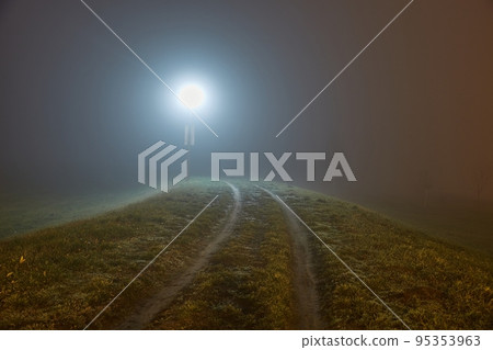 Foggy Mysterious Night Road PArk Foggy Mysterious Night Road PArk 95353963