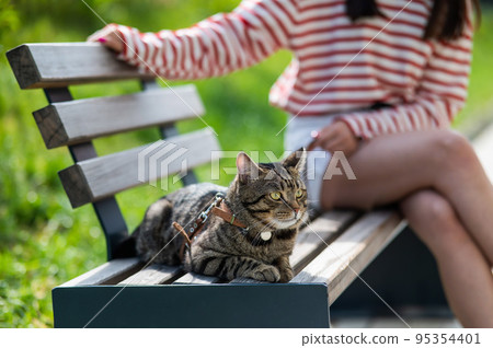 Young woman and tabby cat sitting on a bench outdoors. 95354401