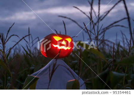 A scarecrow with a glowing pumpkin head in a night corn field. Creepy Halloween concept. 95354461
