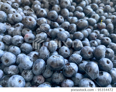 Delicious fresh beautiful healthy vitamin blueberry berry for wholesome nutrition with antioxidants and trace elements. Background, texture Delicious fresh beautiful healthy vitamin blueberry berry for wholesome nutrition with antioxidants and trace elements. Background, texture 95354472