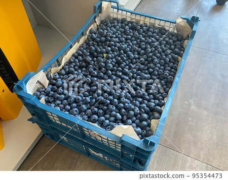 A box of delicious fresh beautiful healthy vitamin blueberry berry for healthy nutrition with antioxidants and trace elements 95354473