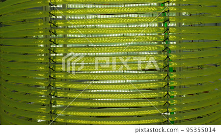 Algae science reactor tubular, research pipe hose modern laboratory bioreactor tubing multi cultivator hosepipe photon instrument biotechnology detail sample preparation bubbles, photo bio cultivation Algae science reactor tubular, research pipe hose modern laboratory bioreactor tubing multi cultivator hosepipe photon instrument biotechnology detail sample preparation bubbles, photo bio cultivation 95355014