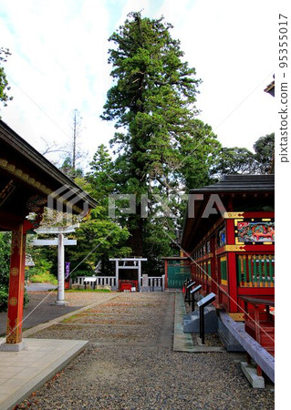 Japan's only dream come true Daimyojin / Osugi Shrine 95355017