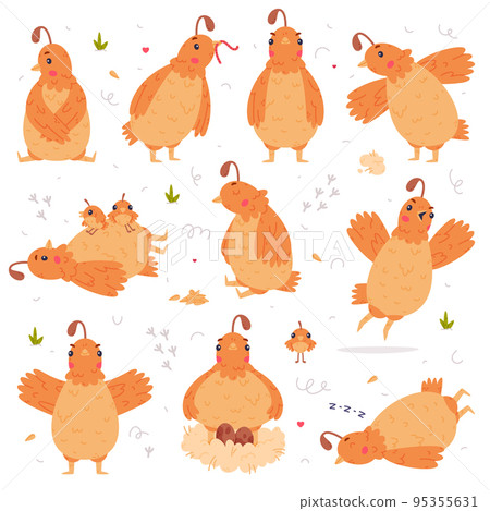 Quail Bird with Crest and Feathers Engaged in Different Activity Vector Set 95355631