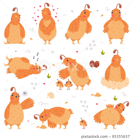 Quail Bird with Crest and Feathers Engaged in Different Activity Vector Set 95355637