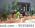 Ornamental plants 95358091