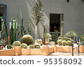 Various cactus 95358092