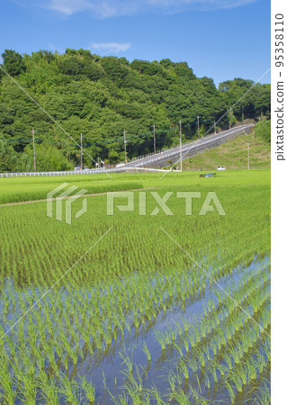 [神奈川縣]箕輪耕地 95358110