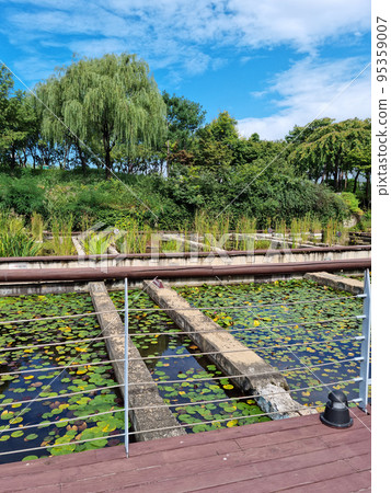 Seonyudo Park Seonyudo Park 95359007