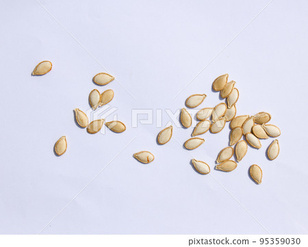 Pumpkin seed Pumpkin seed 95359030