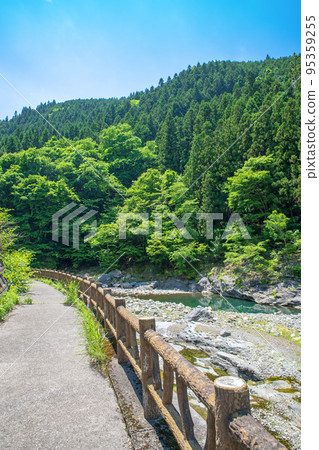 荒川上游的路邊車站大瀧溫泉長廊新鮮的綠色風景 95359255