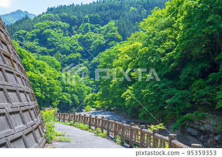荒川上游的路邊車站大瀧溫泉長廊新鮮的綠色風景 95359353