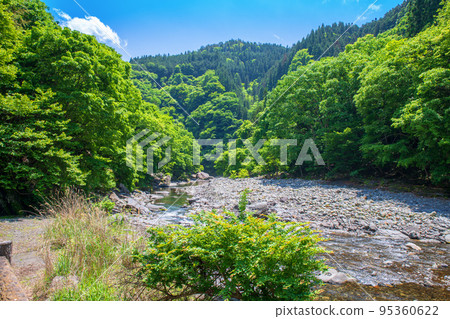 荒川上游,靠近道之站大瀧溫泉,從長廊眺望,清新的綠色風景 荒川上游,靠近道之站大瀧溫泉,從長廊眺望,清新的綠色風景 95360622