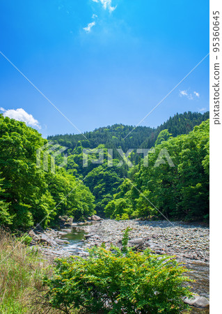 荒川上游，靠近道之站大瀧溫泉，從長廊眺望，清新的綠色風景 95360645