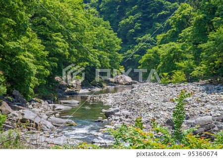 荒川上游，靠近道之站大瀧溫泉，從長廊眺望，清新的綠色風景 95360674