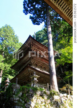 Bothing Mountains Yokodoji 95361572